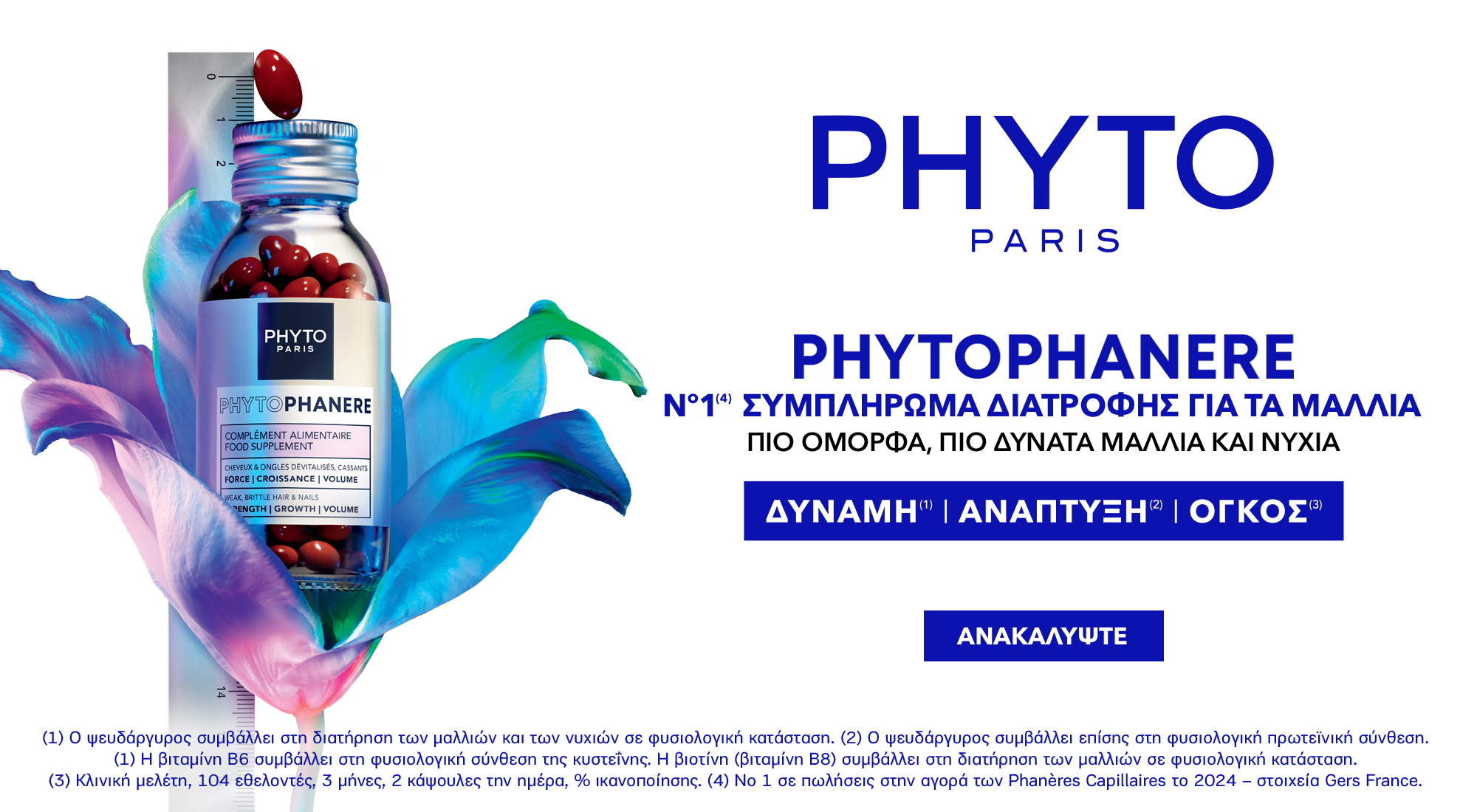 Phytophanere