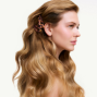 Phyto Scalp Solutions