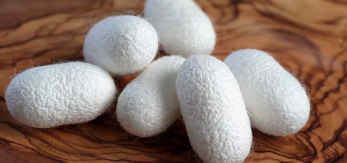 Σερραπεπτάση και φλεγμονή: Πώς λειτουργεί το ένζυμο στον οργανισμό