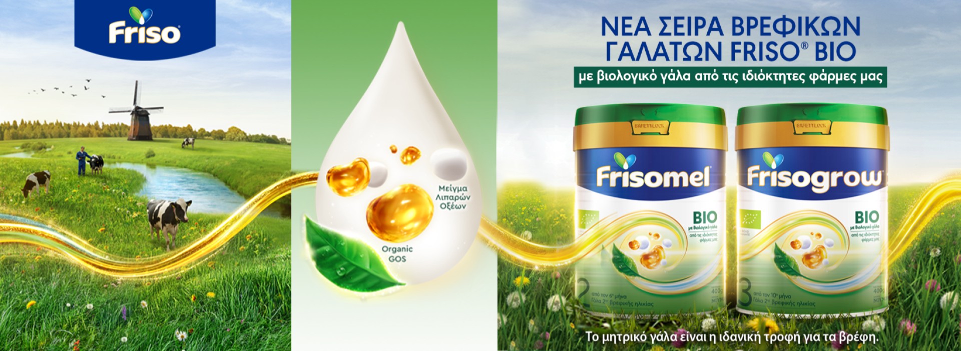 Friso -BIO!