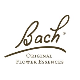 Dr.Bach