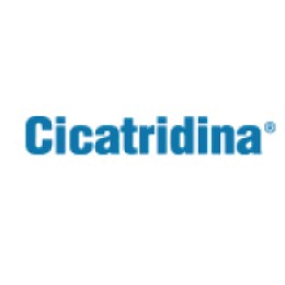 CICATRIDINA