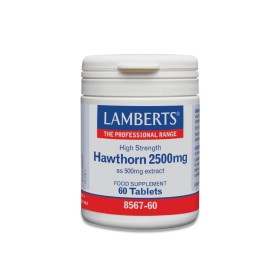 Lamberts Hawthorn 2500mg Εκχύλισμα Κράταιγου με Αγγειοδιασταλτική Δράση για την Ενίσχυση της Υγείας της Καρδιάς, 60 Ταμπλέτες