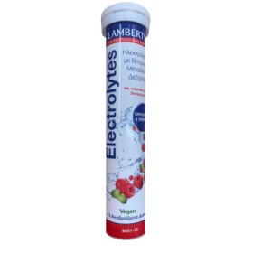 Lamberts Electrolytes Ηλεκτρολύτες με Γεύση Βατόμουρο, 13eff.tabs