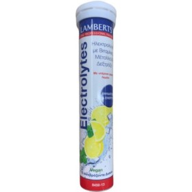 Lamberts Electrolytes Ηλεκτρολύτες με Γεύση Λεμόνι, 13eff.tabs