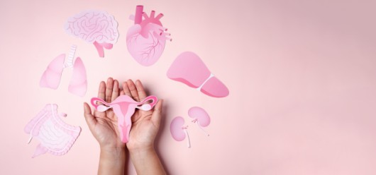 Σύνδρομο Πολυκυστικών Ωοθηκών: Τι είναι και πως αντιμετωπίζεται; - Featured Image