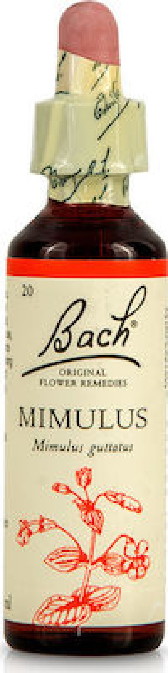 Dr Bach Mimulus Ανθοϊαμα Για άτομα που φοβούνται συγκεκριμένες καταστάσεις , 20 ml