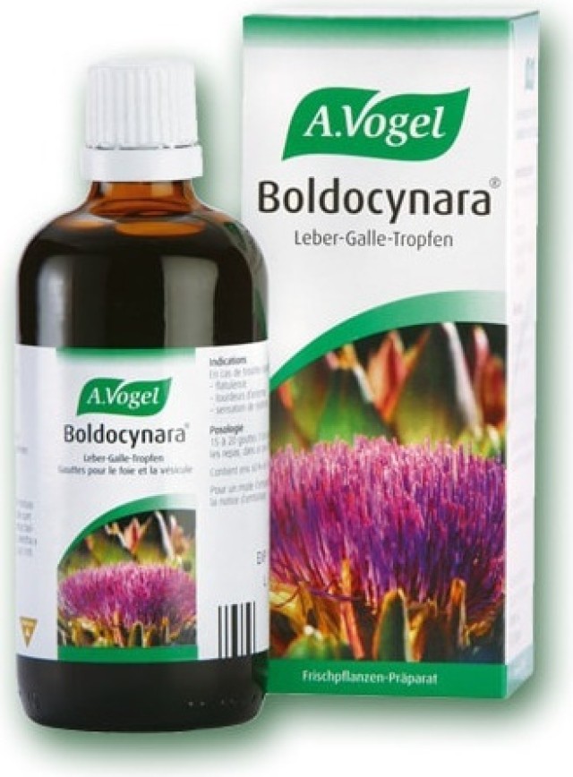 A. Vogel Boldocynara Φυτικό Βάμμα Αποτοξινωτικό - Ηπατοπροστατευτικό Από Φρέσκα Βότανα, 50ml