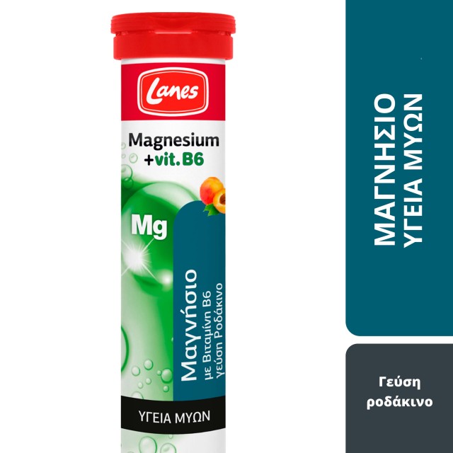 Lanes Magnesium + Vit B6 Μαγνήσιο µε Βιταμίνη B6, 20 Αναβράζοντα Δισκία